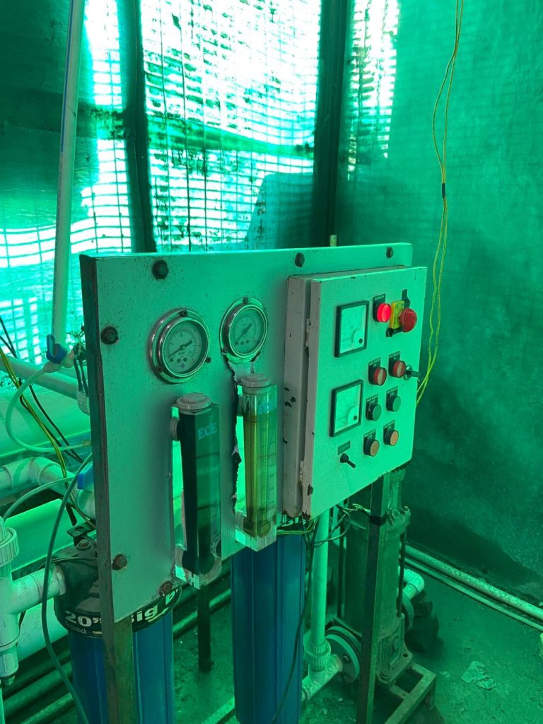 Inner working of one of the plants