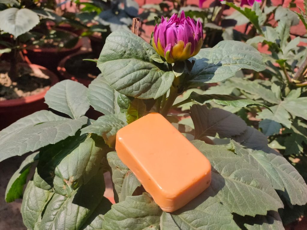 A used cooking oil soap
